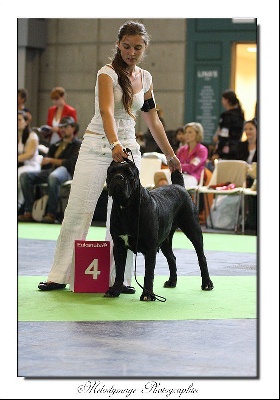 Marvelous Legacy - World Dog Show le 7 juillet 2011 !