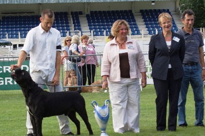 Marvelous Legacy - Spéciale de Race de Cahors le 7 août 2011