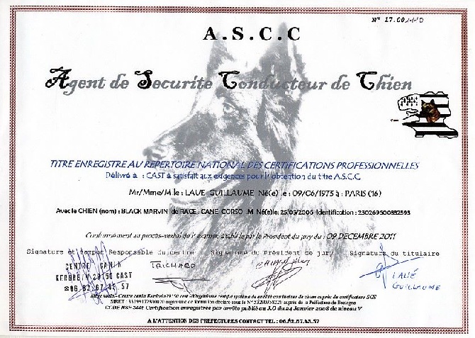 Marvelous Legacy - Equipe Cynophile diplômée !
